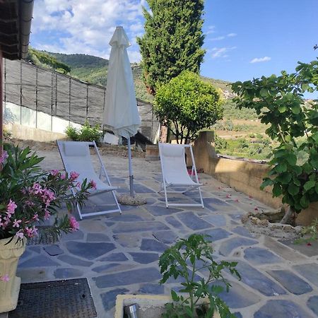 La Casa Del Podere Castellaro  Eksteriør billede