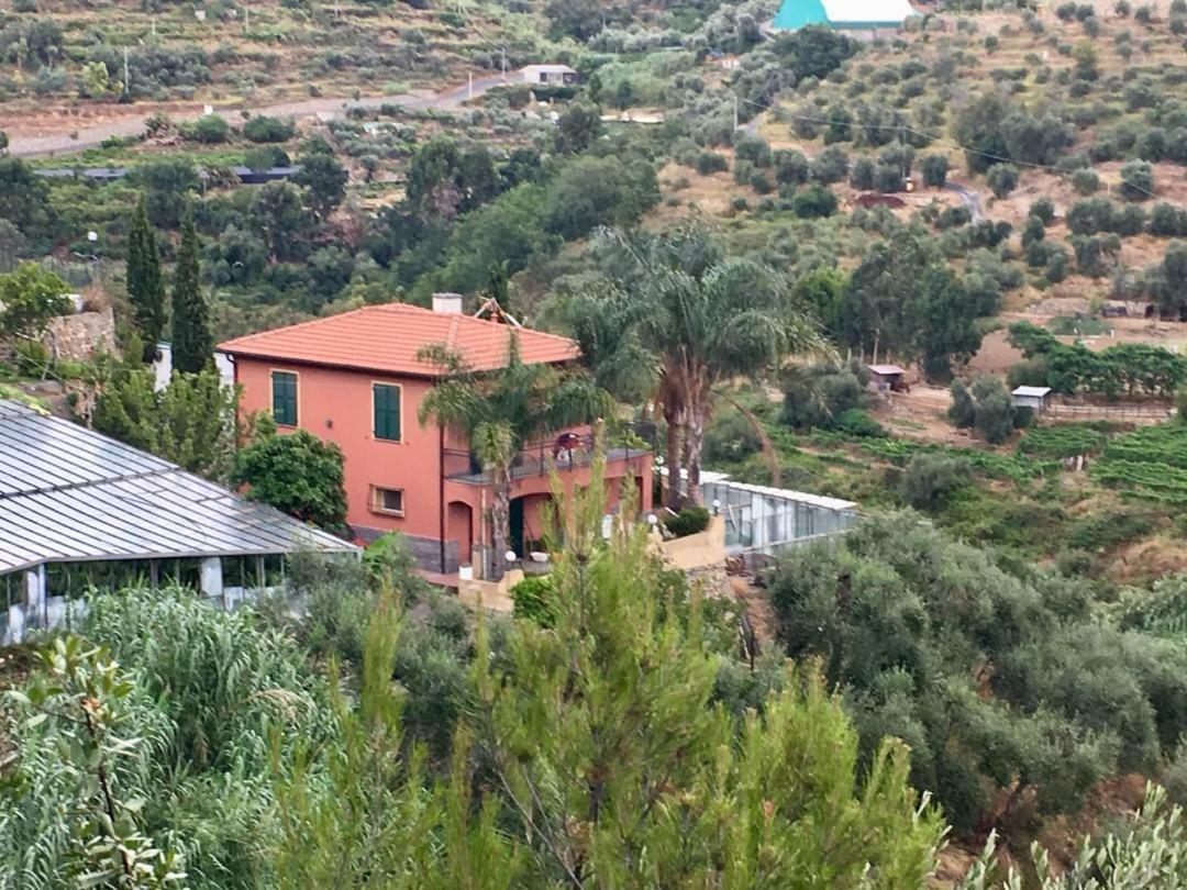 La Casa Del Podere Castellaro  Eksteriør billede